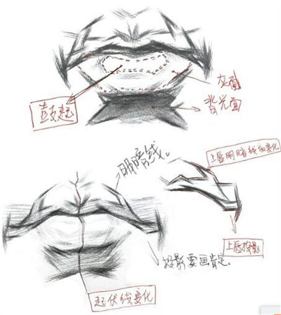 素描入門(mén)：素描嘴巴精講教程
