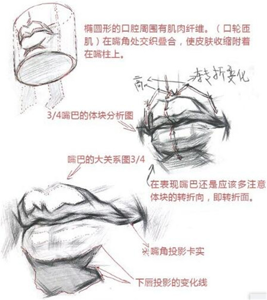 素描入門(mén)：素描嘴巴精講教程