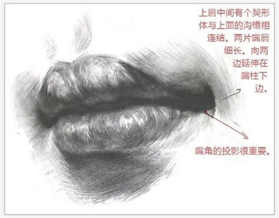 素描入門(mén)：素描嘴巴精講教程